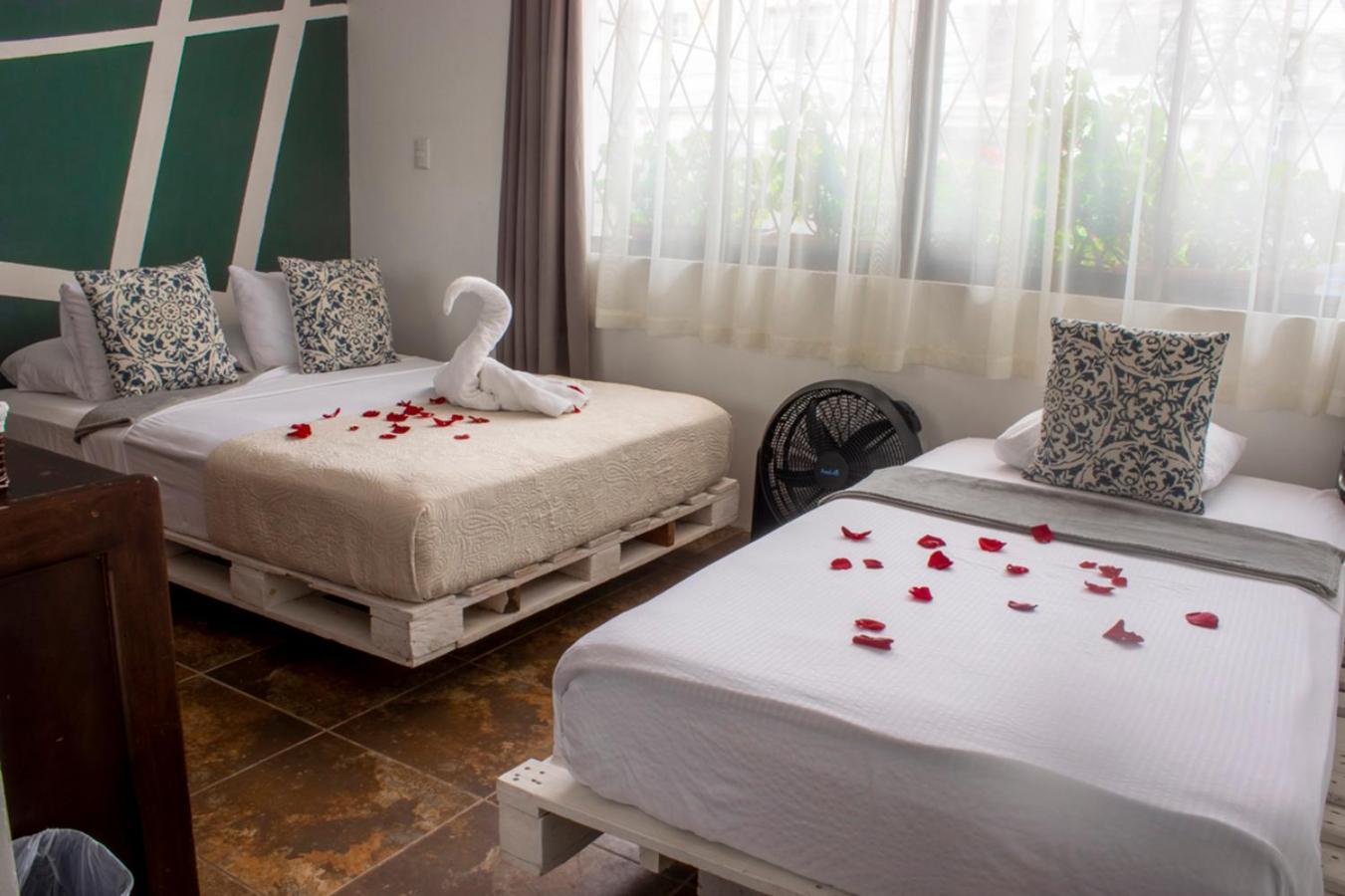 Eco Stay Hostel Σαν Χοσέ Εξωτερικό φωτογραφία